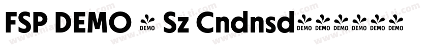 FSP DEMO - Sz Cndnsd字体转换